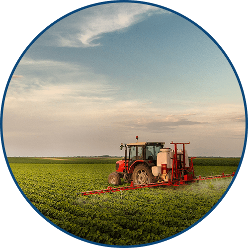 agriculture